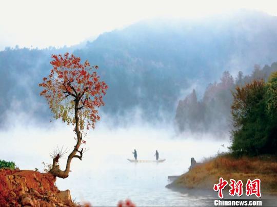 浙江浦江鄉(xiāng)村逆襲記：精耕細(xì)作煥新顏 青山綠水入畫來。浦江縣農(nóng)辦提供