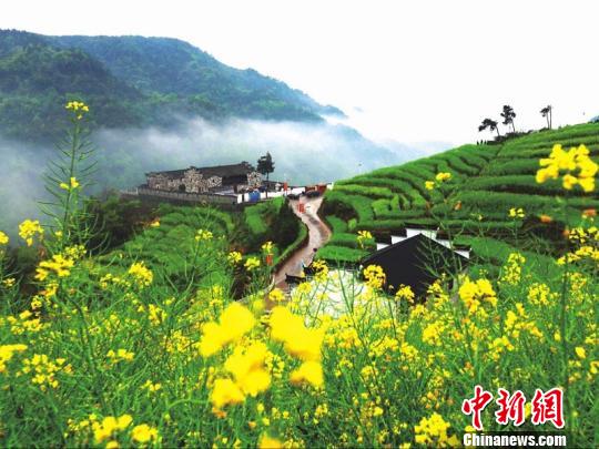 浙江浦江鄉(xiāng)村逆襲記：精耕細(xì)作煥新顏 青山綠水入畫來。浦江縣農(nóng)辦提供